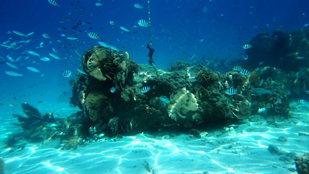 Cenote Angelita